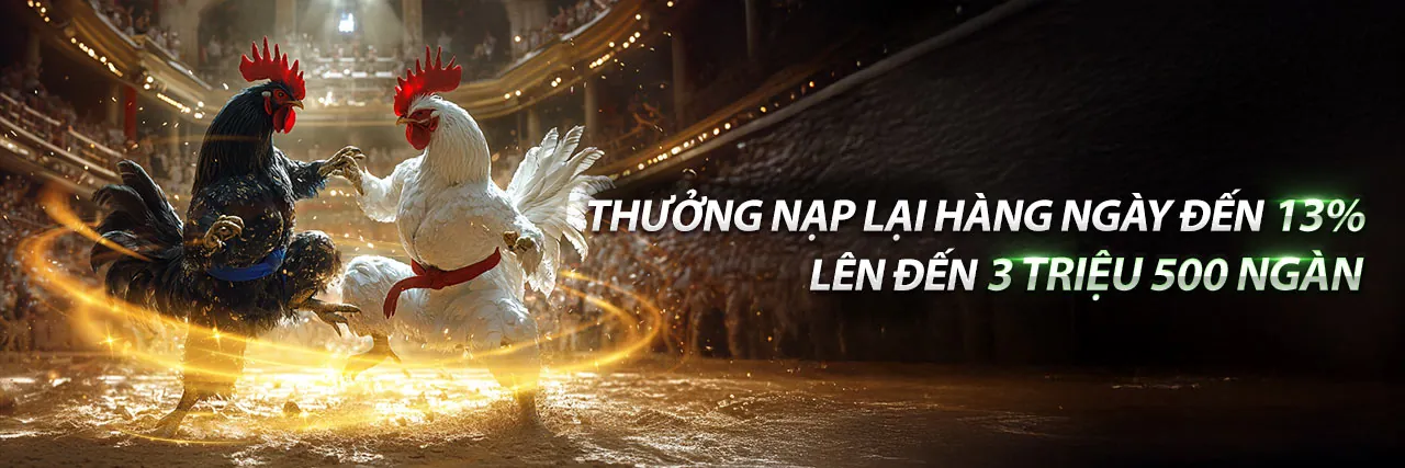 Sân đấu đá gà kịch tính tại Haybet